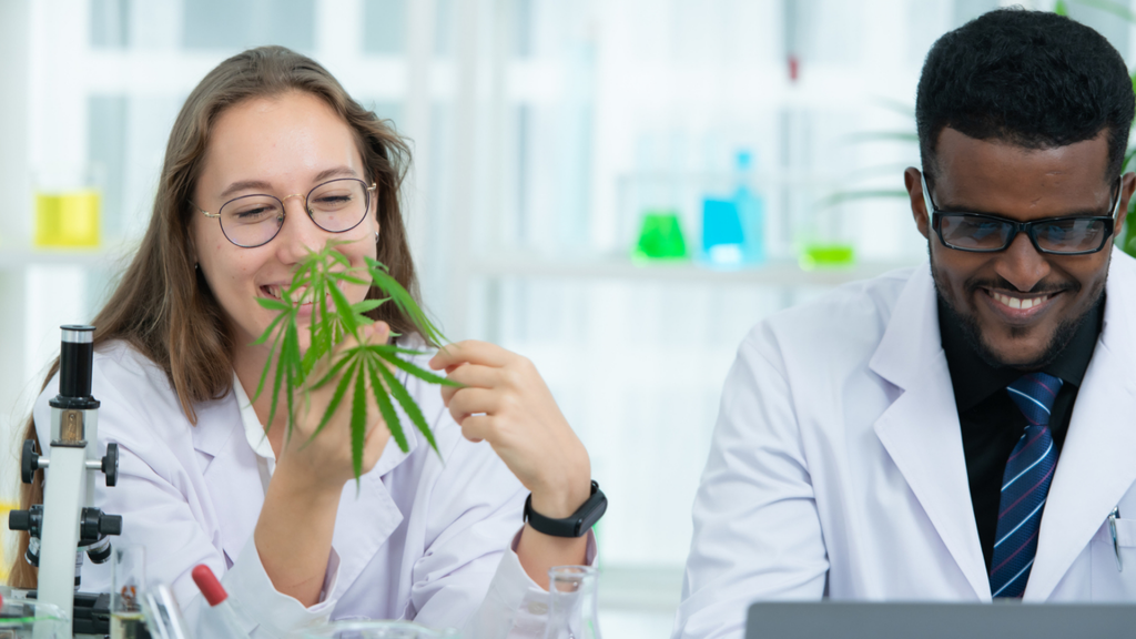 A man and woman looking at cannabis plants in the lab