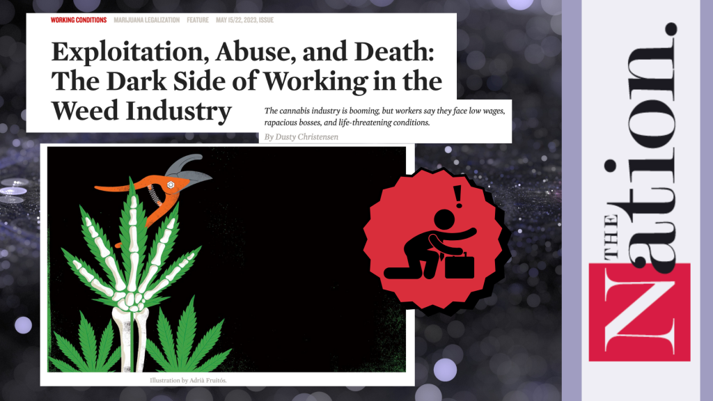 Exploitation, Abuse & Death” The Dark Side of Working in the Cannabis Industry